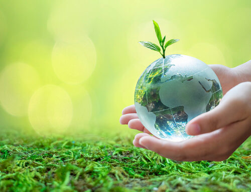 Earth Day: A Focus on Sustainable and Ethical Investing